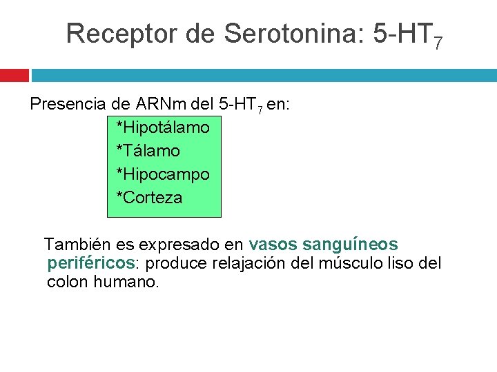Receptor de Serotonina: 5 -HT 7 Presencia de ARNm del 5 -HT 7 en: Receptor de Serotonina: 5 -HT 7 Presencia de ARNm del 5 -HT 7 en: