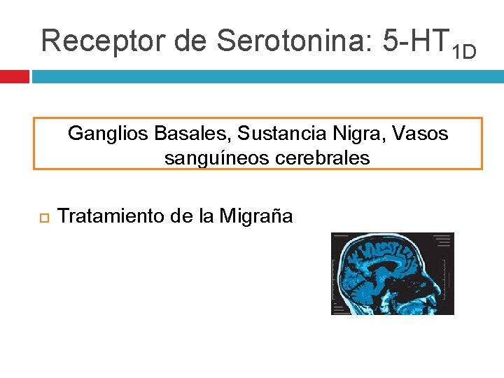 Receptor de Serotonina: 5 -HT 1 D Ganglios Basales, Sustancia Nigra, Vasos sanguíneos cerebrales Receptor de Serotonina: 5 -HT 1 D Ganglios Basales, Sustancia Nigra, Vasos sanguíneos cerebrales