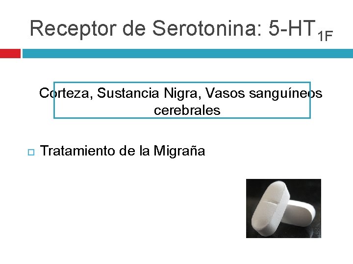 Receptor de Serotonina: 5 -HT 1 F Corteza, Sustancia Nigra, Vasos sanguíneos cerebrales Tratamiento Receptor de Serotonina: 5 -HT 1 F Corteza, Sustancia Nigra, Vasos sanguíneos cerebrales Tratamiento