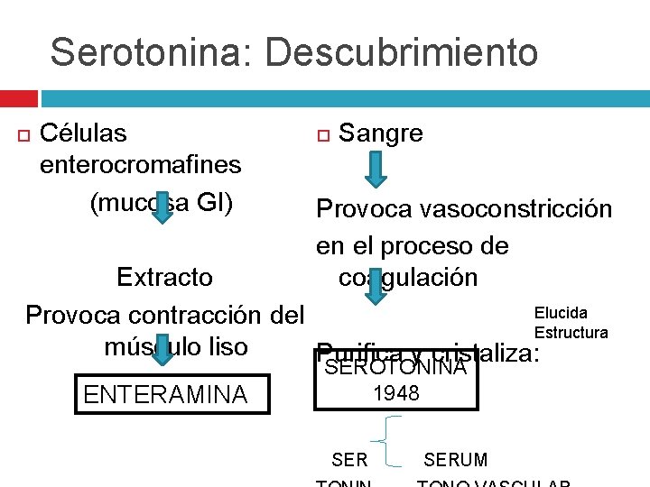 Serotonina: Descubrimiento Células enterocromafines (mucosa GI) Sangre Provoca vasoconstricción en el proceso de coagulación Serotonina: Descubrimiento Células enterocromafines (mucosa GI) Sangre Provoca vasoconstricción en el proceso de coagulación
