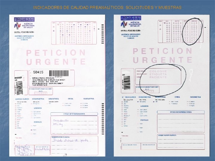 INDICADORES DE CALIDAD PREANALÍTICOS. SOLICITUDES Y MUESTRAS 