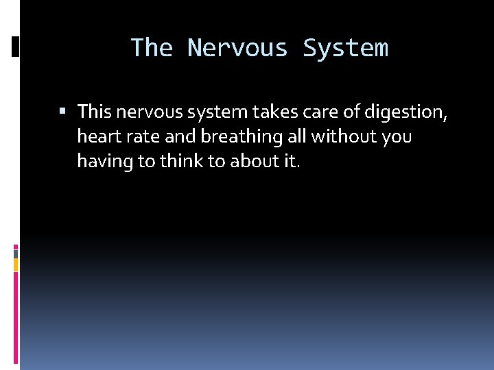 The Nervous System This nervous system takes care of digestion, heart rate and breathing