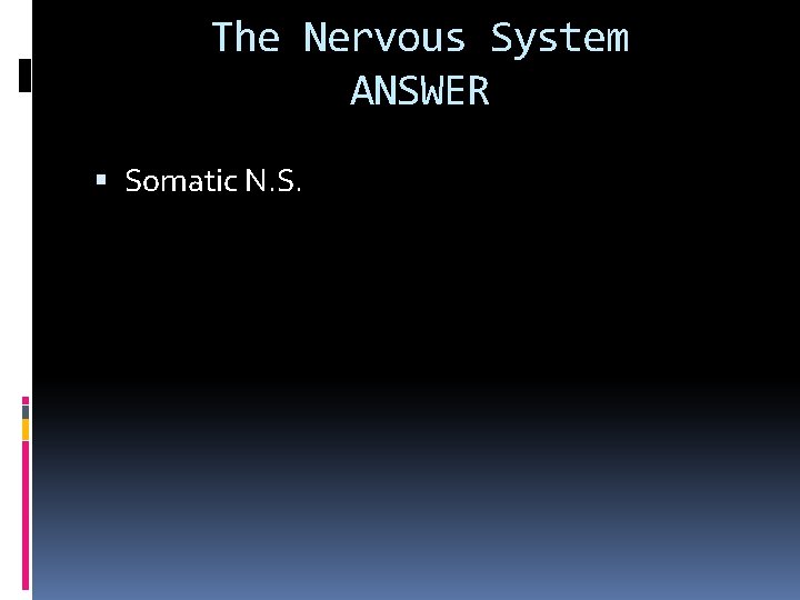 The Nervous System ANSWER Somatic N. S. 