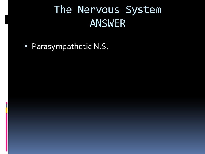 The Nervous System ANSWER Parasympathetic N. S. 