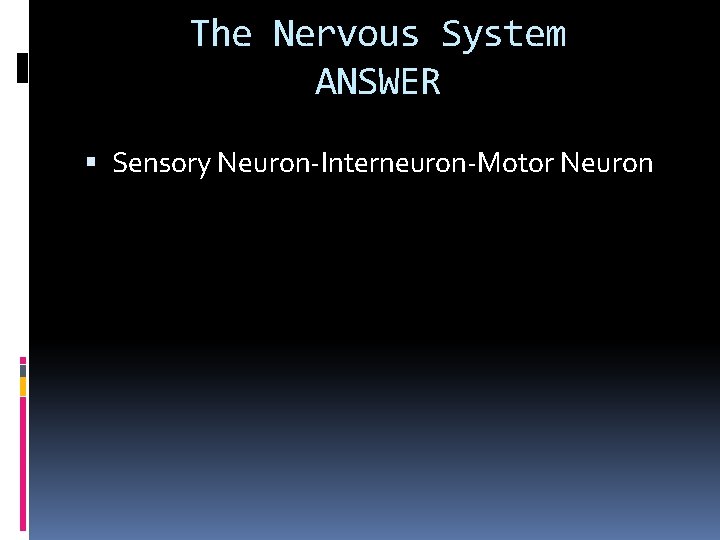 The Nervous System ANSWER Sensory Neuron-Interneuron-Motor Neuron 