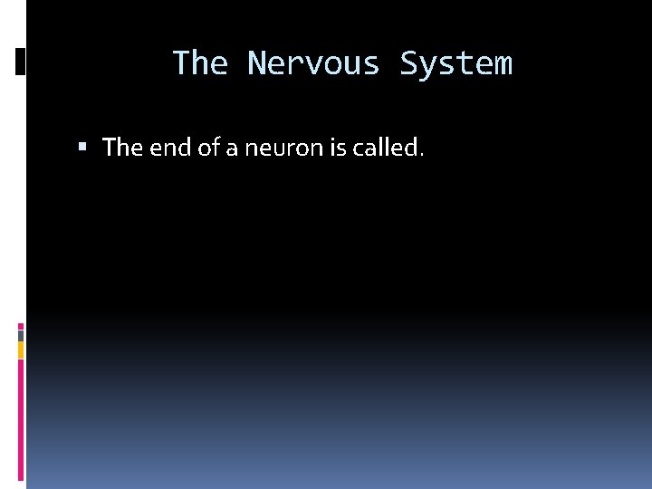The Nervous System The end of a neuron is called. 