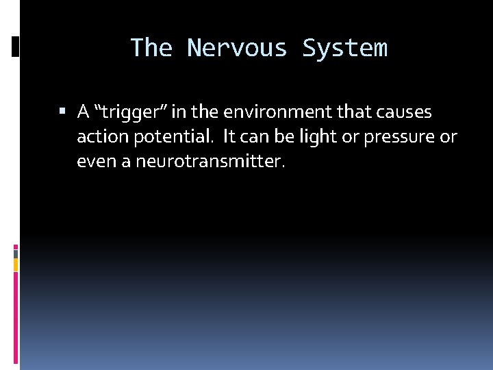 The Nervous System A “trigger” in the environment that causes action potential. It can