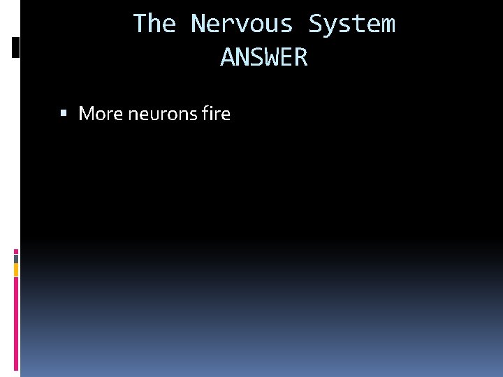 The Nervous System ANSWER More neurons fire 
