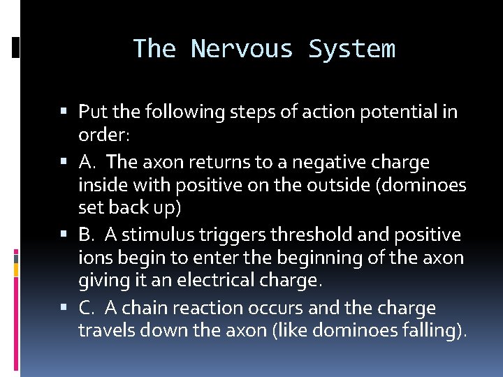 The Nervous System Put the following steps of action potential in order: A. The