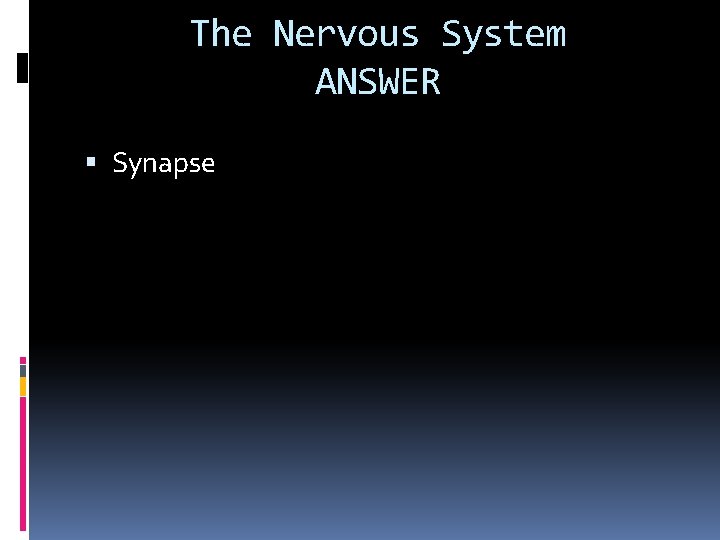 The Nervous System ANSWER Synapse 