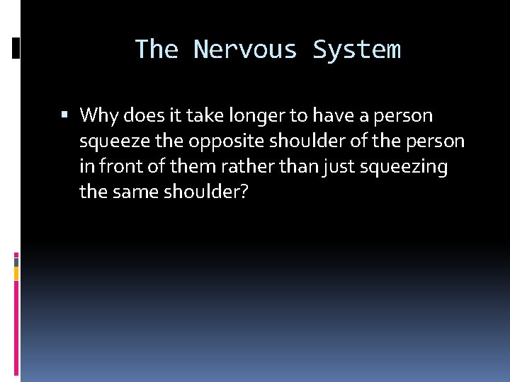 The Nervous System Why does it take longer to have a person squeeze the