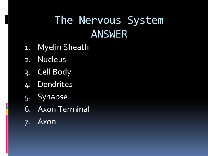 The Nervous System ANSWER 1. 2. 3. 4. 5. 6. 7. Myelin Sheath Nucleus