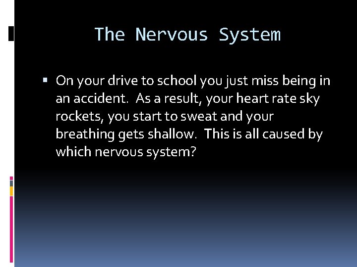 The Nervous System On your drive to school you just miss being in an