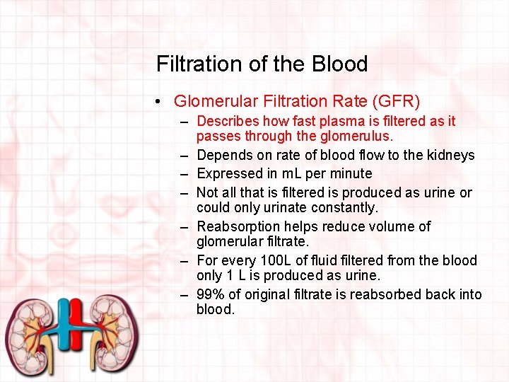 Filtration of the Blood • Glomerular Filtration Rate (GFR) – Describes how fast plasma