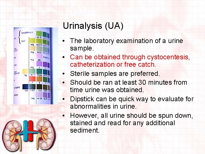 Urinalysis (UA) • The laboratory examination of a urine sample. • Can be obtained