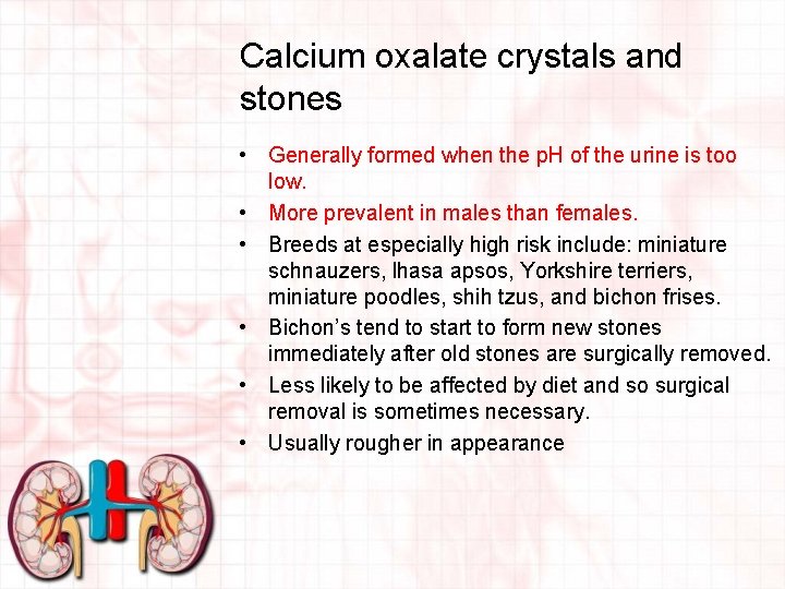 Calcium oxalate crystals and stones • Generally formed when the p. H of the