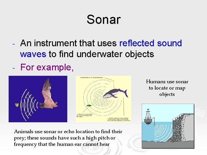 Sonar An instrument that uses reflected sound waves to find underwater objects - For