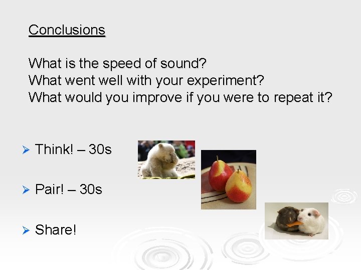 Conclusions What is the speed of sound? What went well with your experiment? What