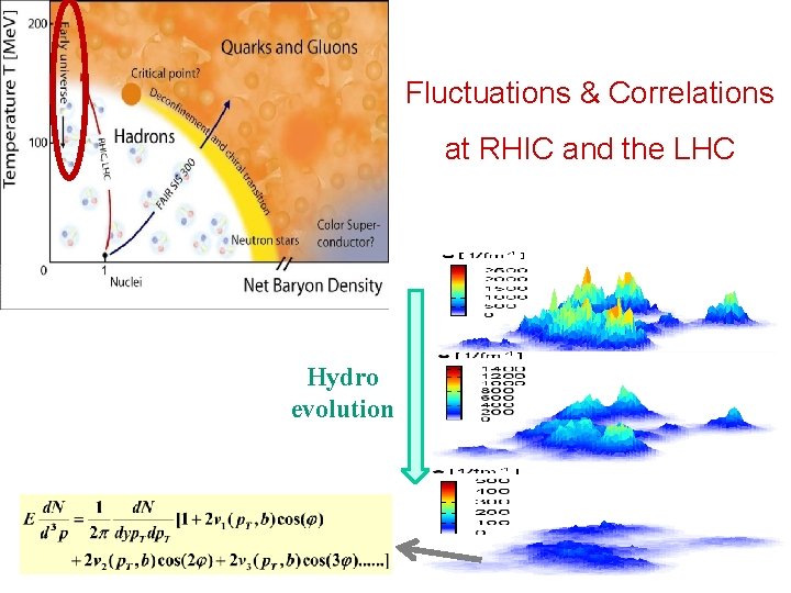 Fluctuations & Correlations at RHIC and the LHC Hydro evolution 