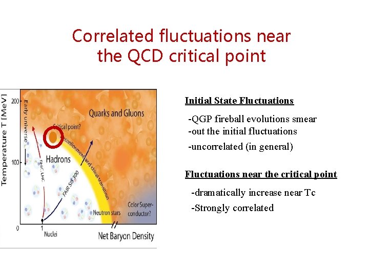 Correlated fluctuations near the QCD critical point Initial State Fluctuations -QGP fireball evolutions smear