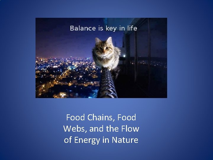 Food Chains, Food Webs, and the Flow of Energy in Nature 