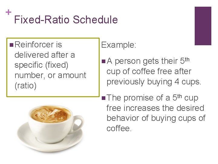 + Fixed-Ratio Schedule n Reinforcer is delivered after a specific (fixed) number, or amount