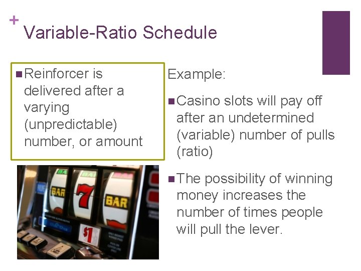 + Variable-Ratio Schedule n Reinforcer is delivered after a varying (unpredictable) number, or amount