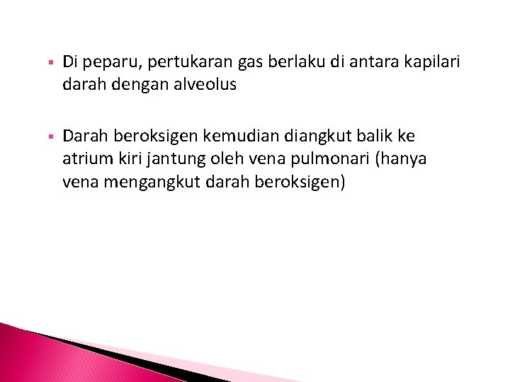  Di peparu, pertukaran gas berlaku di antara kapilari darah dengan alveolus Darah beroksigen