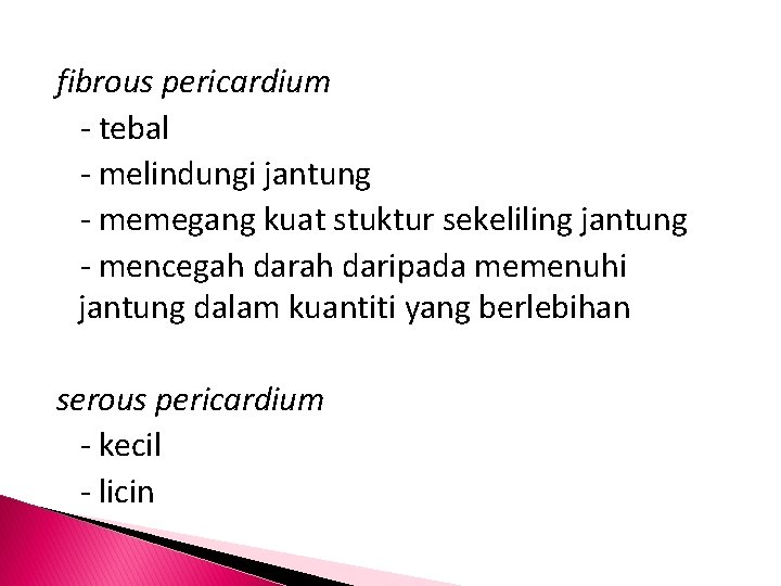 fibrous pericardium - tebal - melindungi jantung - memegang kuat stuktur sekeliling jantung -