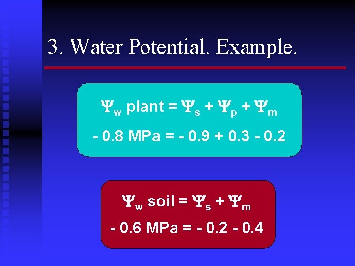 3. Water Potential. Example. w plant = s + p + m - 0.