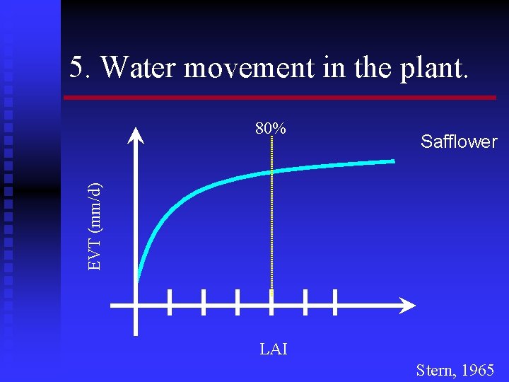 5. Water movement in the plant. Safflower EVT (mm/d) 80% LAI Stern, 1965 
