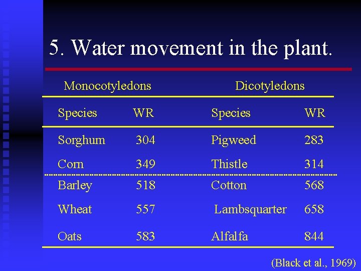 5. Water movement in the plant. Monocotyledons Dicotyledons Species WR Sorghum 304 Pigweed 283