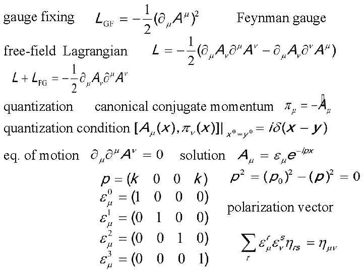 gauge fixing Feynman gauge free-field Lagrangian quantization canonical conjugate momentum quantization condition eq. of