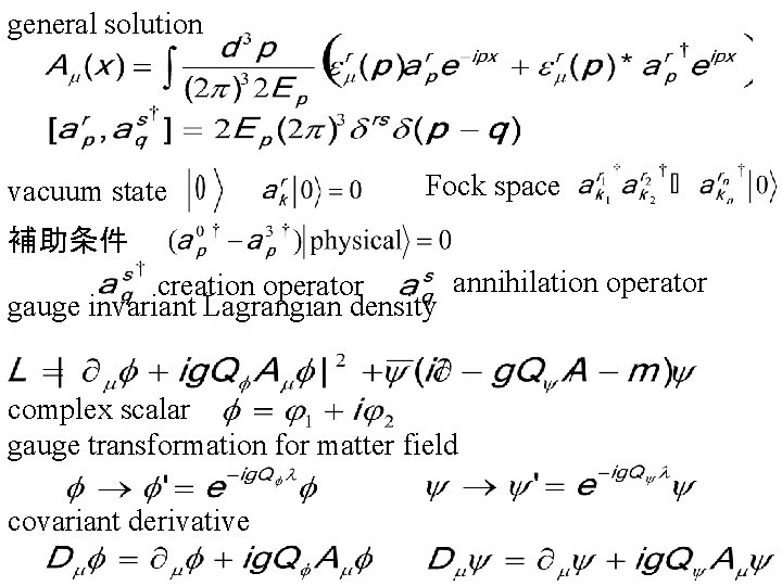 general solution vacuum state Fock space 補助条件 annihilation operator creation operator gauge invariant Lagrangian
