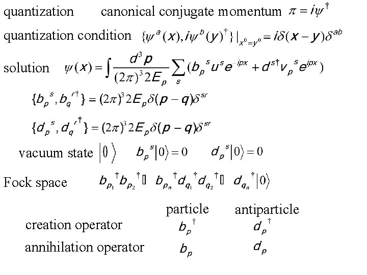 quantization canonical conjugate momentum quantization condition solution vacuum state Fock space particle creation operator