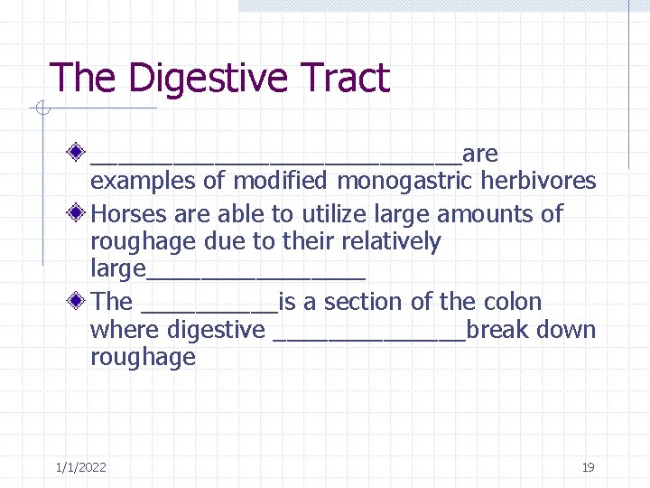 Modified Monogastric Digestive System of the Horse 112022