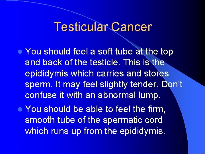 Testicular Cancer l You should feel a soft tube at the top and back