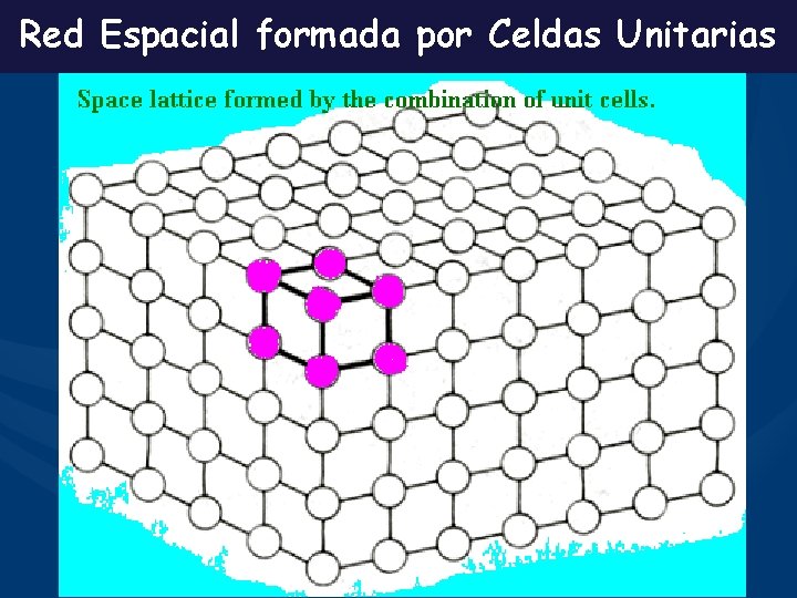 Red Espacial formada por Celdas Unitarias 