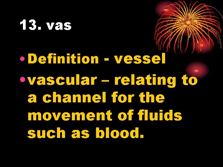 13. vas • Definition - vessel • vascular – relating to a channel for