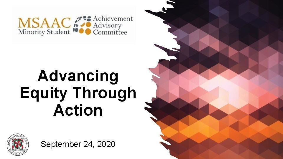 Advancing Equity Through Action September 24, 2020 