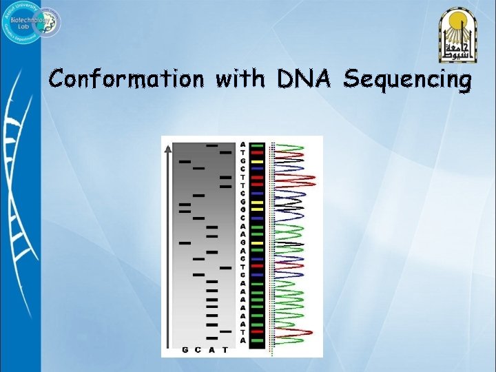 Conformation with DNA Sequencing 