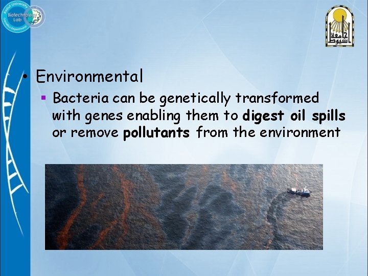  • Environmental § Bacteria can be genetically transformed with genes enabling them to