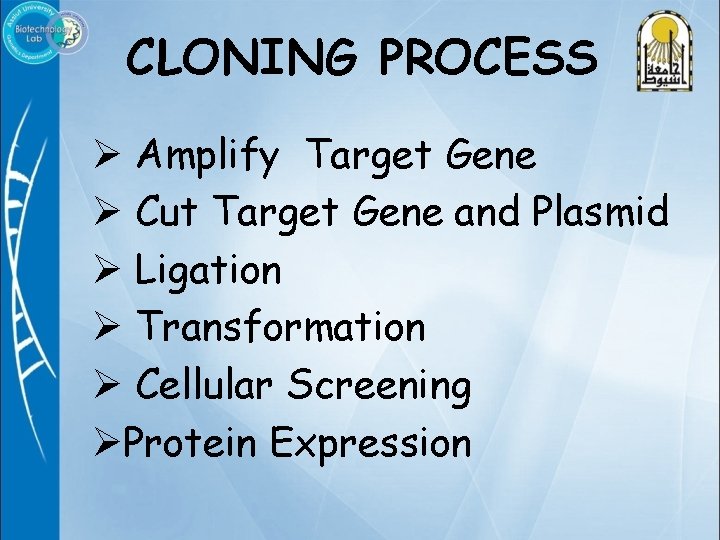 CLONING PROCESS Ø Amplify Target Gene Ø Cut Target Gene and Plasmid Ø Ligation