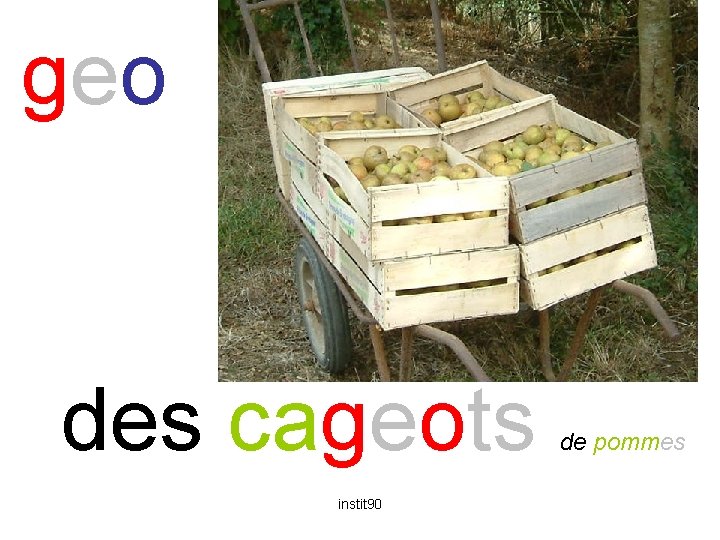 geo cageot des cageots instit 90 de pommes 