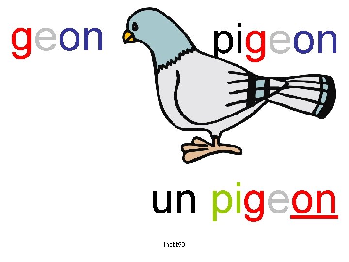 geon pigeon un pigeon instit 90 