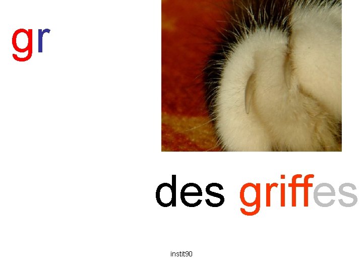 gr griffes des griffes instit 90 