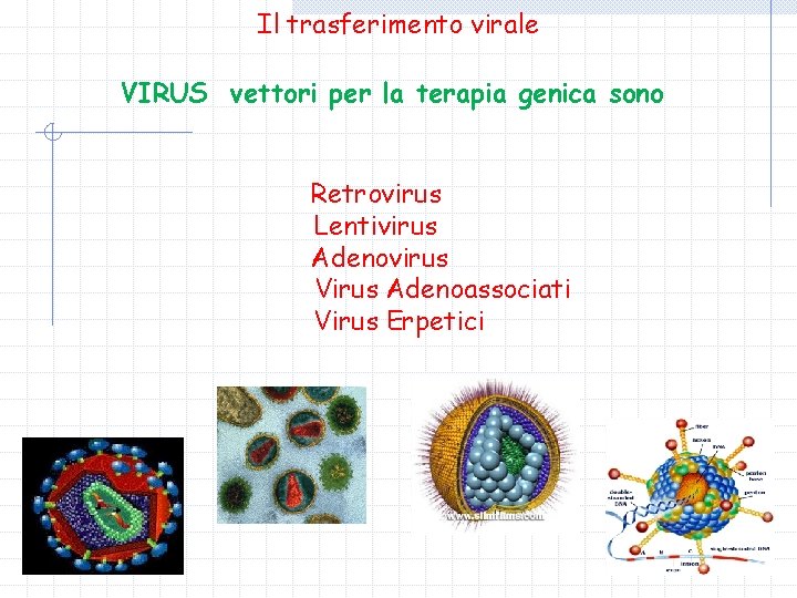 Il trasferimento virale VIRUS vettori per la terapia genica sono Retrovirus Lentivirus Adenovirus Virus