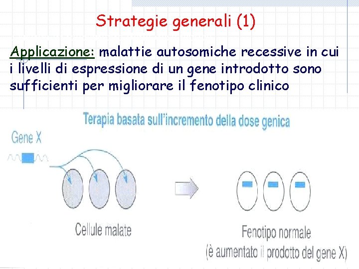 Strategie generali (1) Terapia di incremento della dose genica Applicazione: malattie autosomiche recessive in