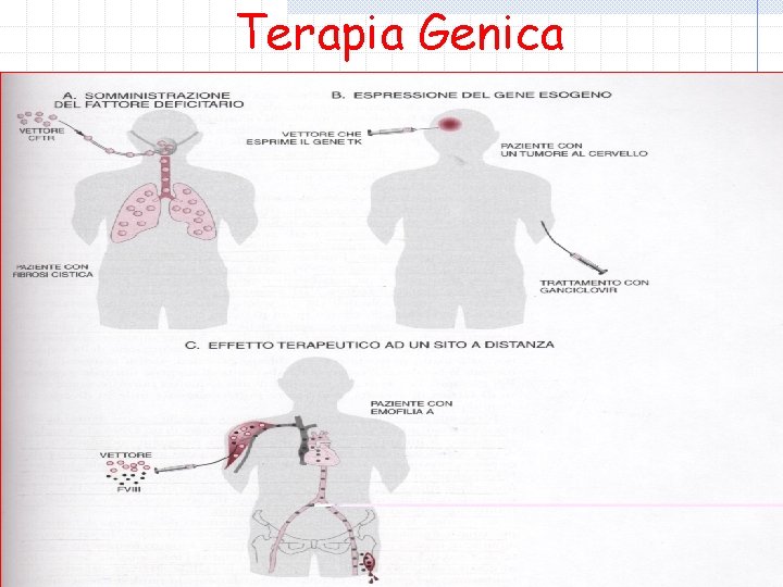 Terapia Genica 