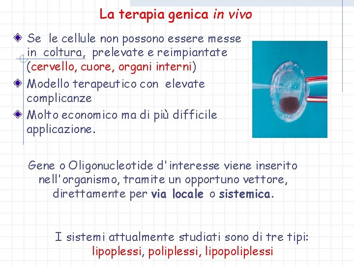 La terapia genica in vivo Se le cellule non possono essere messe in coltura,